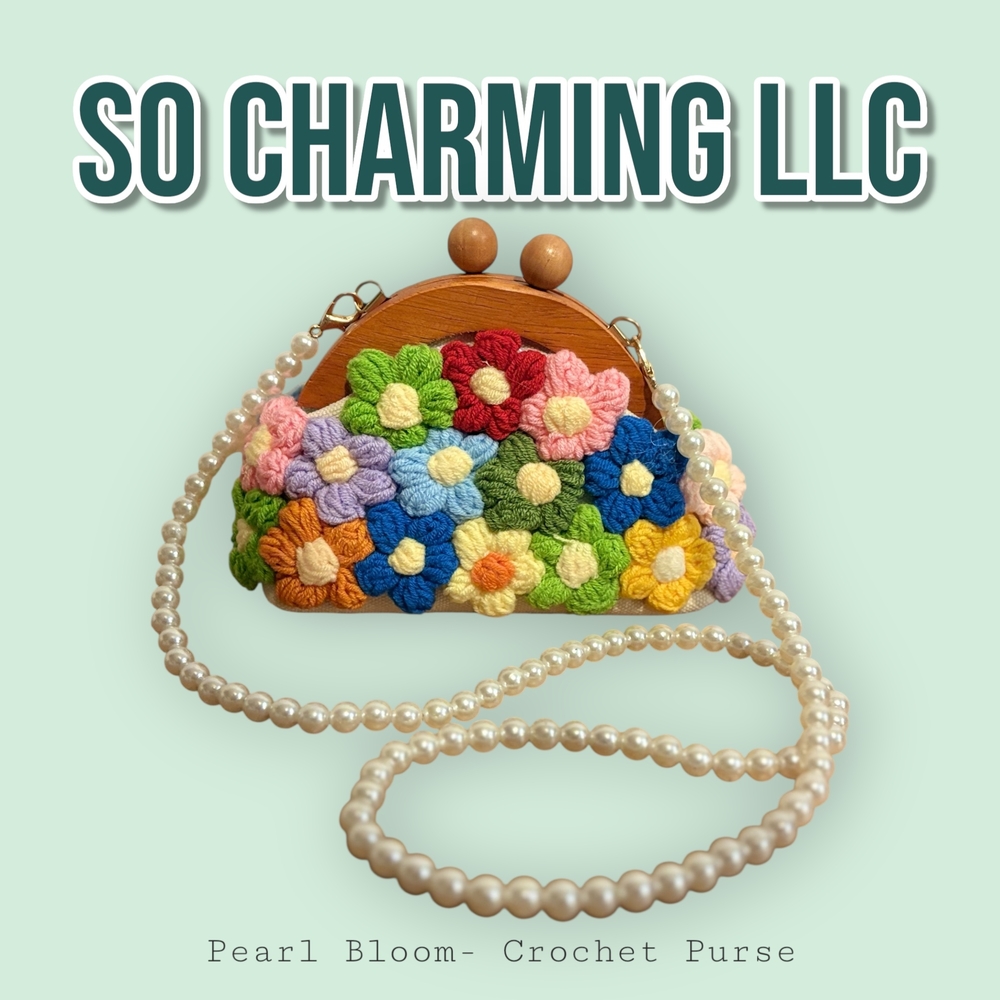 Multicolor Crochet Purse